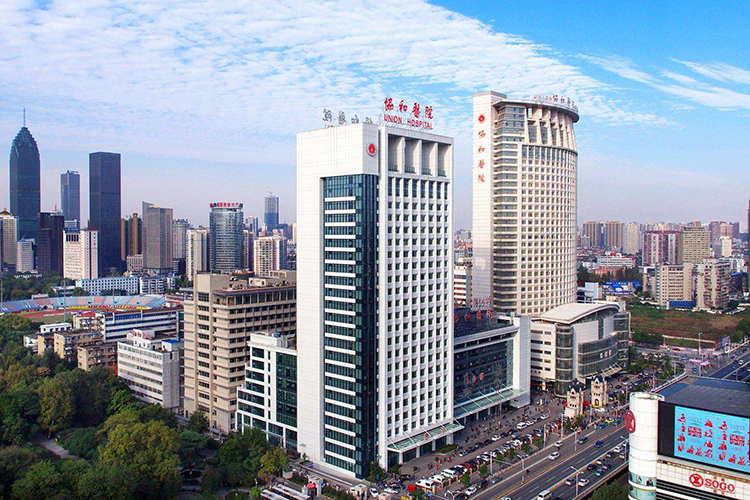 48052311301823549807